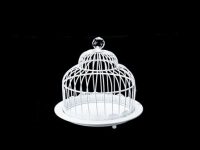 Wh Dome & Plare (B.Cage)19x19x18.5)
